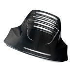 Evora 410 'Ducktail' Tailgate in Carbon Fibre