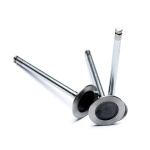 Inlet Valve Rover 1.8 VVC